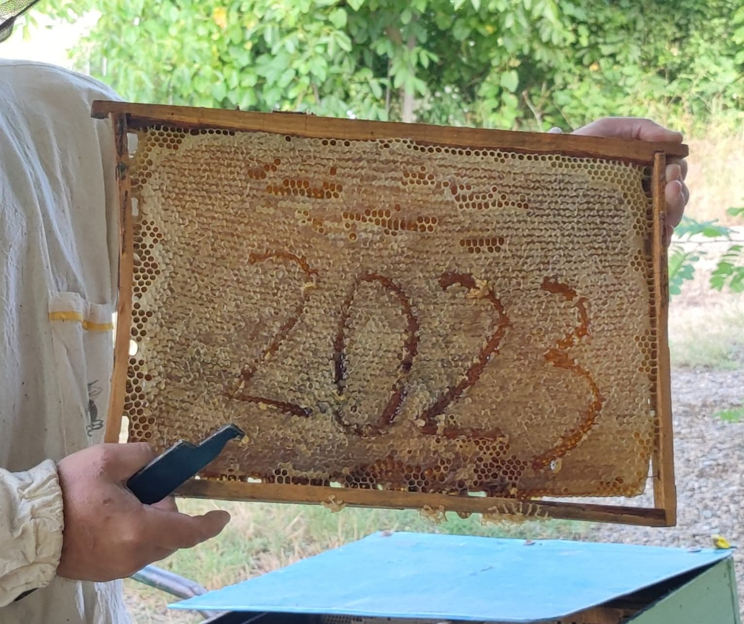 Пчелно саќе со испишана 2023 година